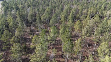 014 County Road 175, Piedmont, AL 36272 - photo 5