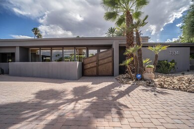 73341 Bursera