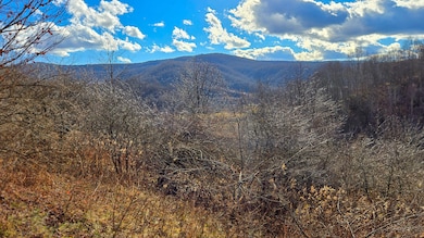 0 27 Acres Big Spring Elk unit 25-1445, Slatyfork, WV 26291 - photo 2