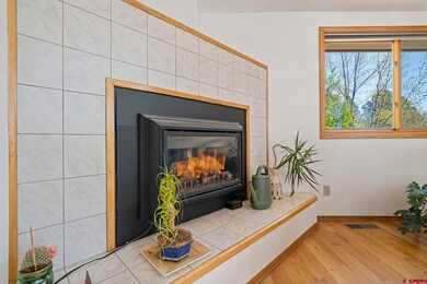 240 Valley View Cir, Durango, CO 81301 - photo 7