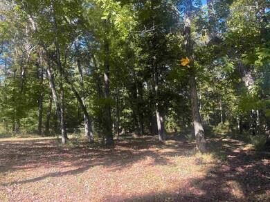 View of local wilderness