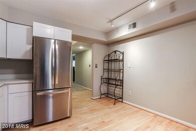 1 Mullingar Ct unit 302, Lutherville Timonium, MD 21093 - photo 4