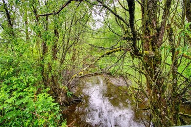 1725 Braden Way, Bellingham, WA 98226 - photo 6