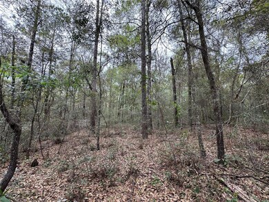 176 NE 155th Ct, Williston Highlands, FL 32696 - photo 4