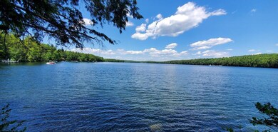 Lot #006 Trickey Pond Rd, Naples, ME 04055 - photo 2
