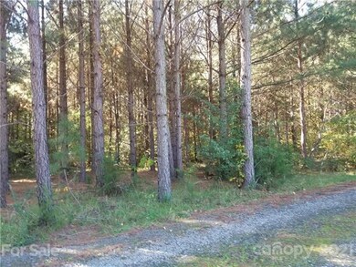 0 Treehouse Rd unit 3727032, Albemarle, NC 28001 - photo 2