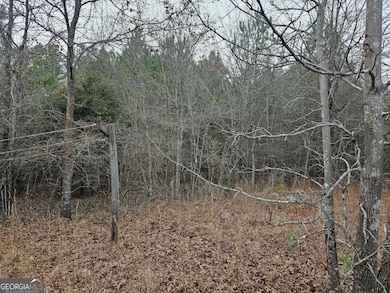 730 Osley Mill Rd, Carlton, GA 30627 - photo 3