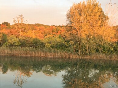 Fall view from deck.