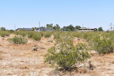 36261 166th St E, Palmdale, CA 93591 - photo 6