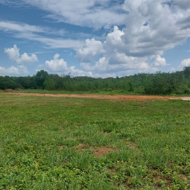 1085 Deen Point Rd, Benton, LA 71006 - photo 2