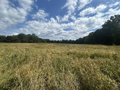 0 V/L Michigan 66, Athens, MI 49011 - photo 7