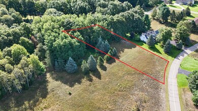 7256 Ryans Run Rd, Canadian Lakes, MI 49346 - photo 6