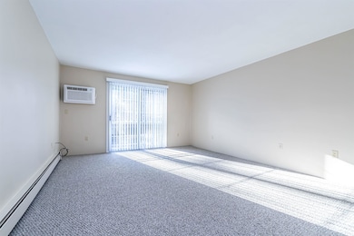 New Berber Carpet  & Levolor Blind in the Living Room