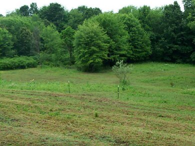 Yard/Garden.