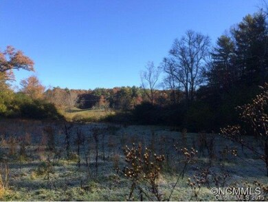 unlisted-address, Leicester, NC 28806 - photo 5