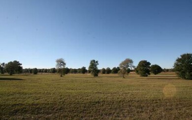 LOT72 Mandiba Dr, Lake City, FL 32024 - photo 3