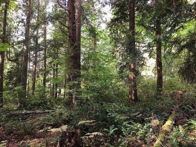 Lot 15 Park Dr, Point Roberts, WA 98281 - photo 2