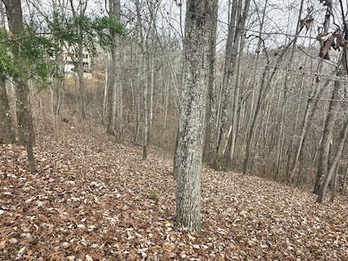 0 Drew Ct unit RTC3050632, Smithville, TN 37166 - photo 6