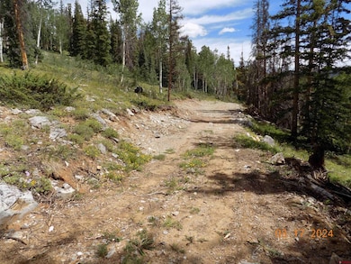 159 Lime Bluff Dr, Pitkin, CO 81241 - photo 2