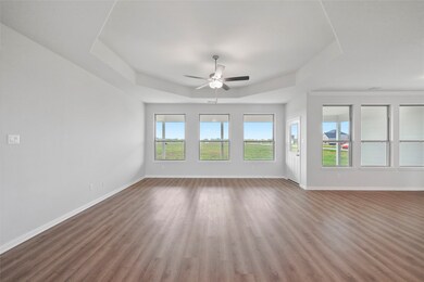 11002 Pecan Pie Dr, Needville, TX 77461 - photo 5