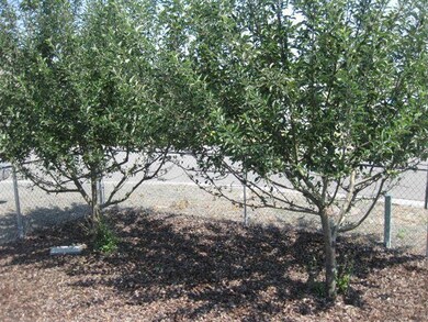 471 Council Dr, Mount Vernon, OR 97865 - photo 7