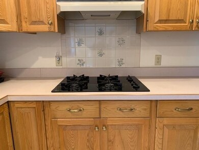 176 Horse Corner Rd, Chichester, NH 03258 - photo 6