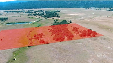 Aerial view of a large body of water and a forest
