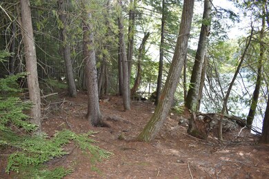 Lot 1B-9 Upper Dark Cove Rd, Weston, ME 04424 - photo 5
