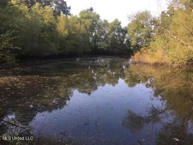 Pond