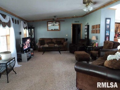 1205 Dorris Heights Rd, Harrisburg, IL 62946 - photo 5