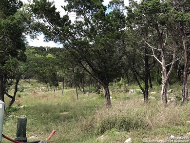 20710 Osprey Way, San Antonio, TX 78256 - photo 7