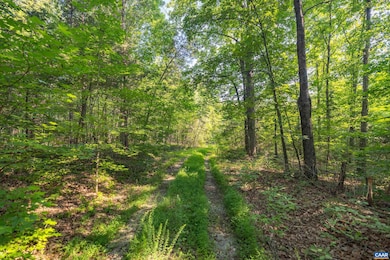 Lot 2 Stag Rd, Bremo Bluff, VA 23022 - photo 5