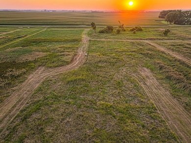 250th Street and 461st Ave, Colton, SD 57018 - photo 4
