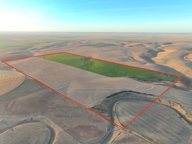 000 Road 29, Bird City, KS 67731 - photo 6