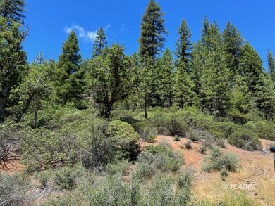 Gentle rolling terrain