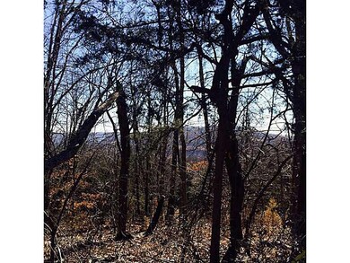 View.