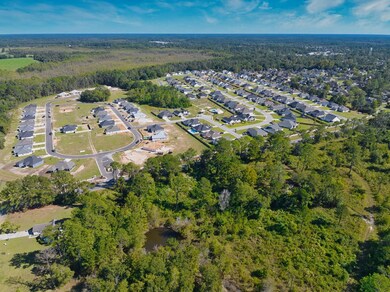 355 Barry Field Cir, Hahira, GA - photo 6