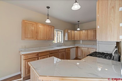 457 Animas View Dr unit 20, Durango, CO 81301 - photo 6