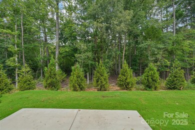 617 Mercury Dr, Tega Cay, SC 29708 - photo 6