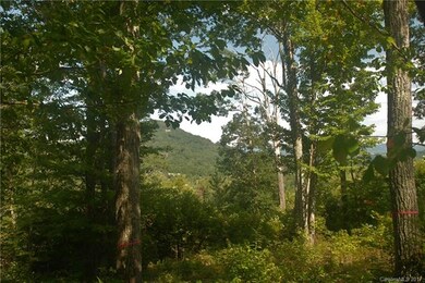 Mature hardwoods throughout home site.