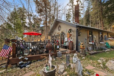 10155 Mountain Rd, Cascade, CO 80809 - photo 6