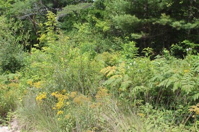 54 Granite Rd, Effingham, NH 03882 - photo 3