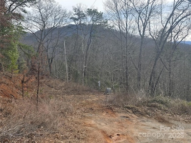 425 Crocus Ln, Dillsboro, NC 28779 - photo 3