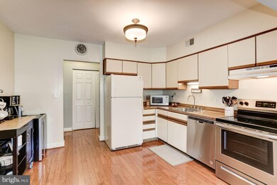 6 Elphin Ct unit 201, Lutherville Timonium, MD 21093 - photo 4