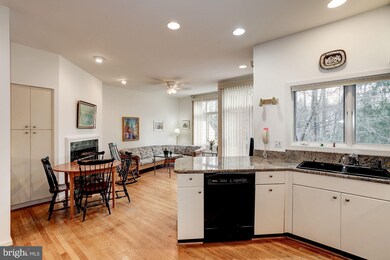 11529 Hemingway Dr, Reston, VA 20194 - photo 7