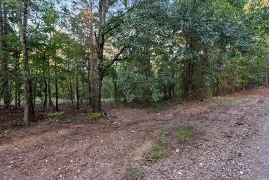 22400 Ross Loop, Paron, AR 72122 - photo 4
