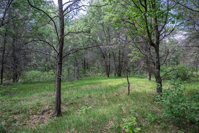 2.08 ac N Clearview Rd, Nekoosa, WI 54456 - photo 4