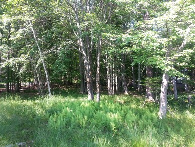 226 Fawn Lake Dr, Lackawaxen Township, PA 18428 - photo 6