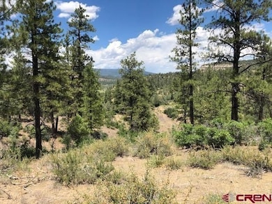 29736 State Hwy 151, Chimney Rock, CO 81147 - photo 4