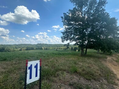 Tract 11 Eagle Landing Rd, London, KY 40741 - photo 5